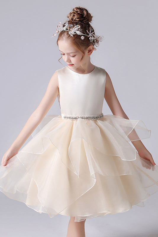 mesh dress Pearl Sheer Mesh Dress